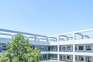 2025긣ݴWͬȌWTI(y)Ŀһ[