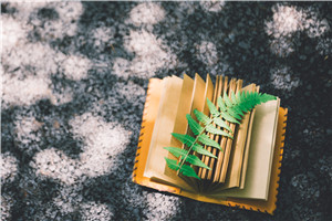 上海在職研究生費(fèi)用是多少 上海在職研究生費(fèi)用是多少