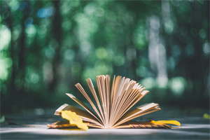 汕頭大學(xué)在職研究生報(bào)考.jpg 汕頭大學(xué)在職研究生報(bào)考.jpg