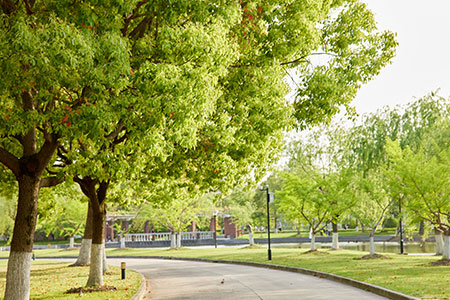 內蒙古在職研究生專業哪些好就業 內蒙古在職研究生專業哪些好就業