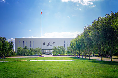 ZԴWkWTʿIpCᣬ߆᣿