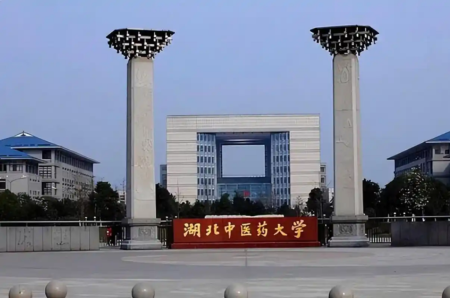 湖北中醫藥大學.webp.png