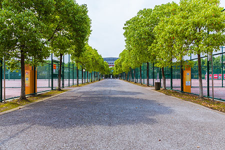 ڼg(sh)W(xu)оcȫƅ^(q)eJ(rn)ɶôӣ