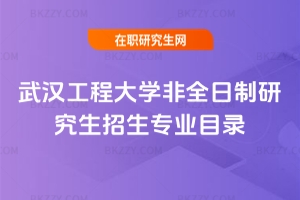2019年武漢工程大學非全日制研究生招生專業目錄